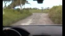 Team Autoscharf - Rally Barbados 2011 - SS6