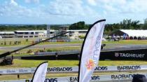2014 Race Of Champions - Super Stadium Trucks Jump