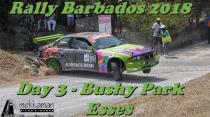 Sol Rally Barbados 2018 - Bushy Park Esses