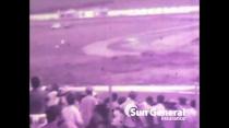 Vintage Bushy Park Racing Video